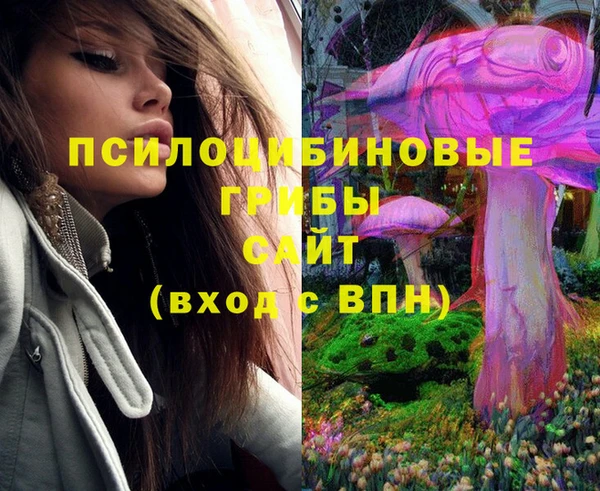 молекула духа Михайловск